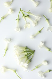 Photo of Beautiful jasmine flowers on white background, flat lay