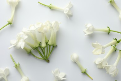 Photo of Beautiful jasmine flowers on white background, flat lay