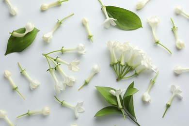 Photo of Beautiful jasmine flowers and green leaves on white background, flat lay