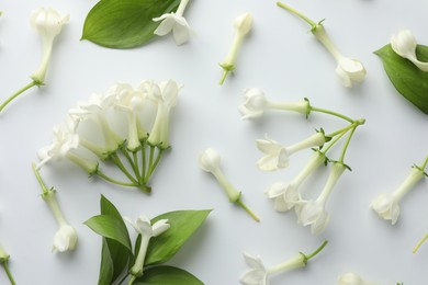 Photo of Beautiful jasmine flowers and green leaves on white background, flat lay