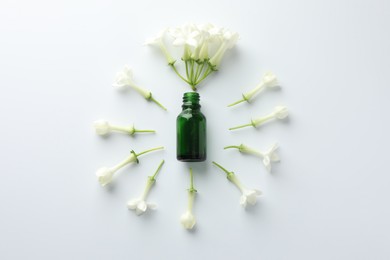 Photo of Bottle of essential oil and jasmine flowers on white background, flat lay