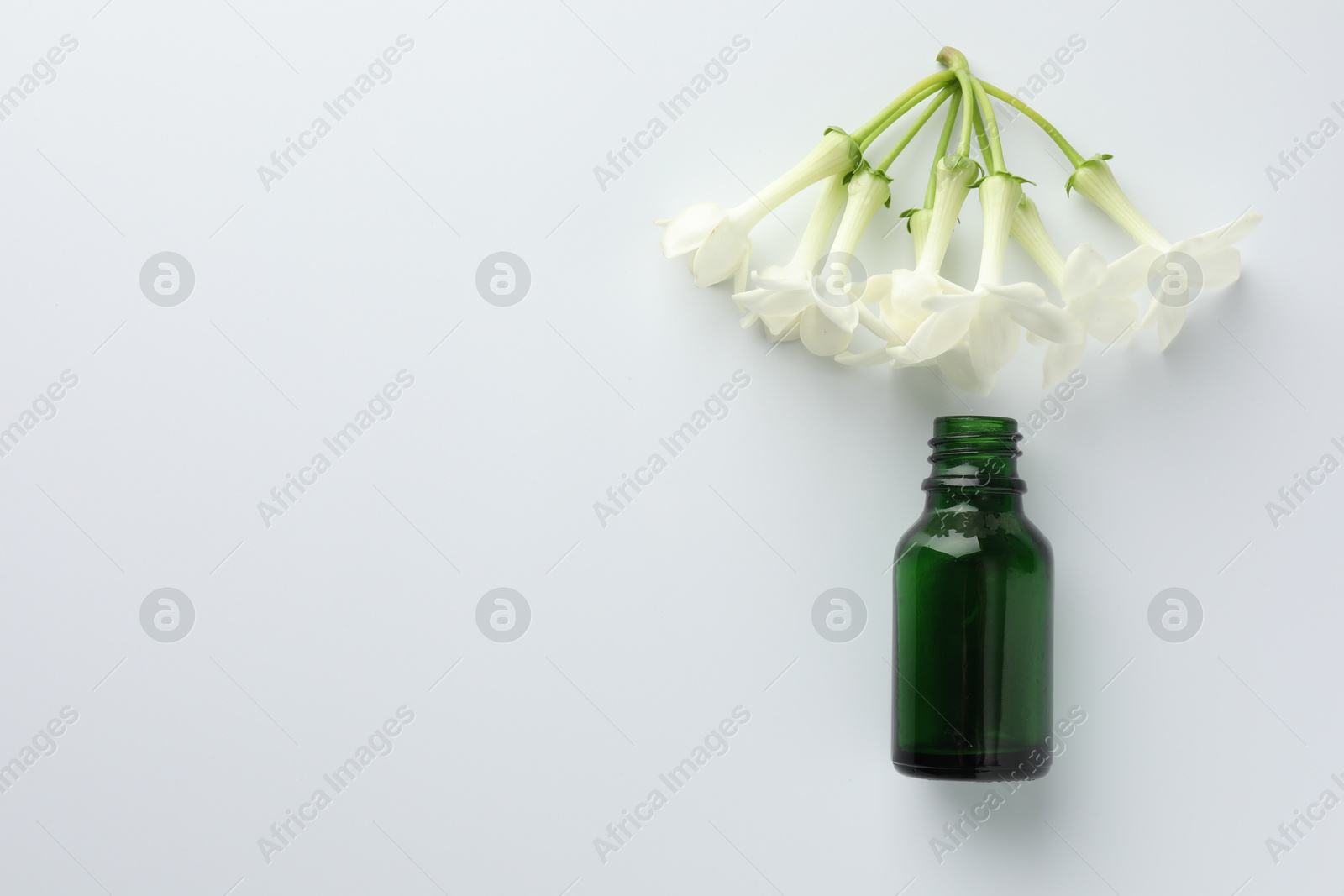 Bottle of essential oil and jasmine flowers on white background, flat lay. Space for text Photo of Bottle of essential oil and jasmine flowers on white background, flat lay. Space for text