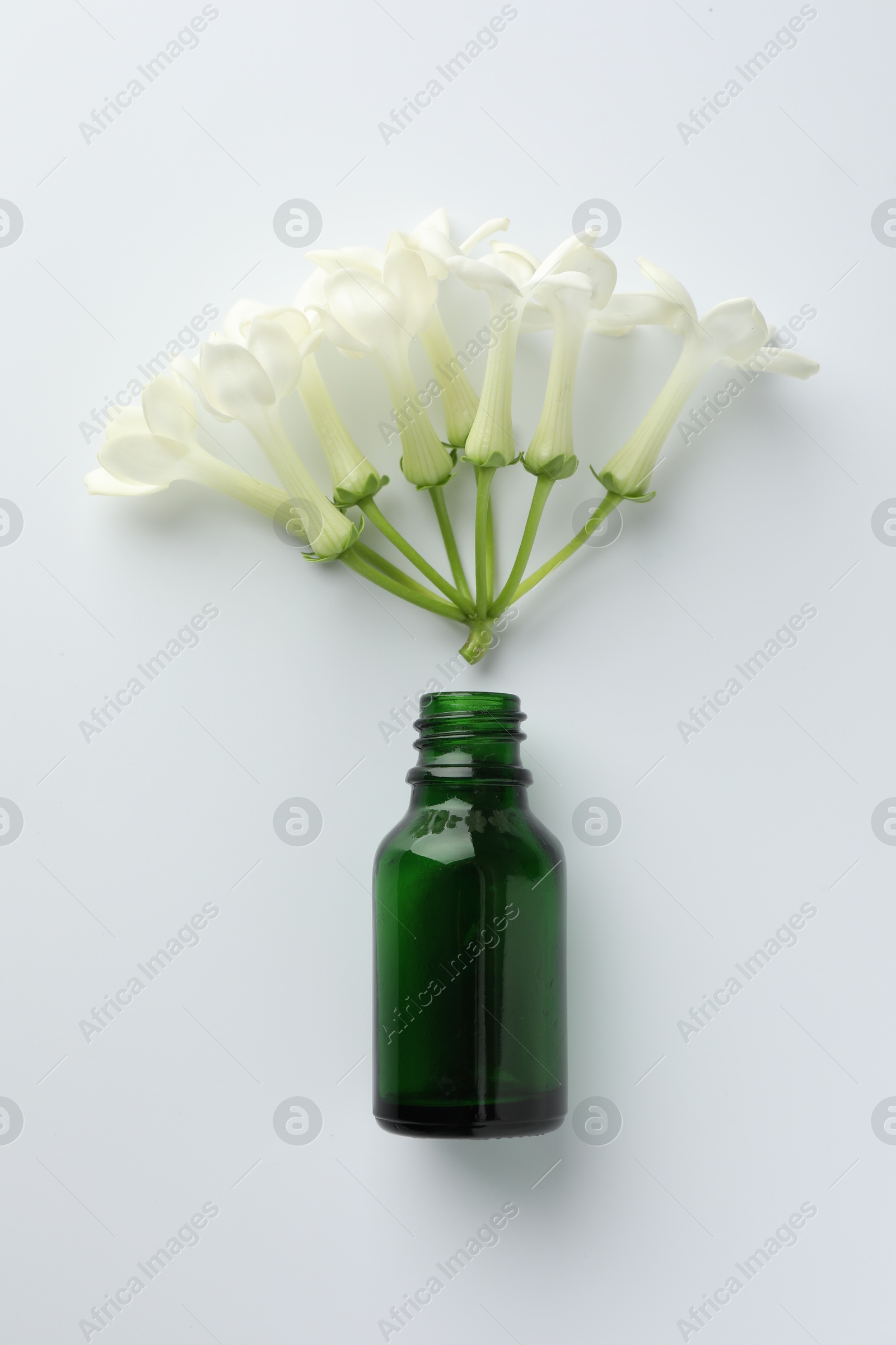 Bottle of essential oil and jasmine flowers on white background, flat lay Photo of Bottle of essential oil and jasmine flowers on white background, flat lay