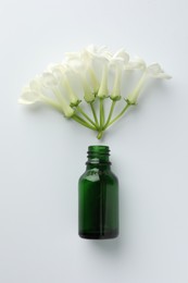Photo of Bottle of essential oil and jasmine flowers on white background, flat lay