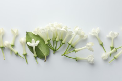 Photo of Beautiful jasmine flowers and green leaf on white background, flat lay