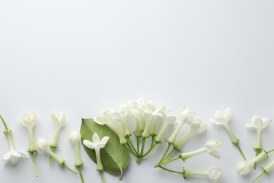 Photo of Beautiful jasmine flowers and green leaf on white background, flat lay. Space for text