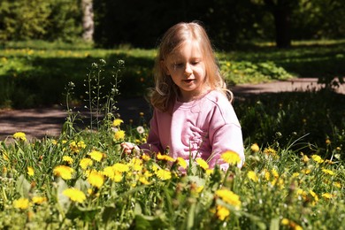 Photo of Cute little girl picking beautiful dandelions in park