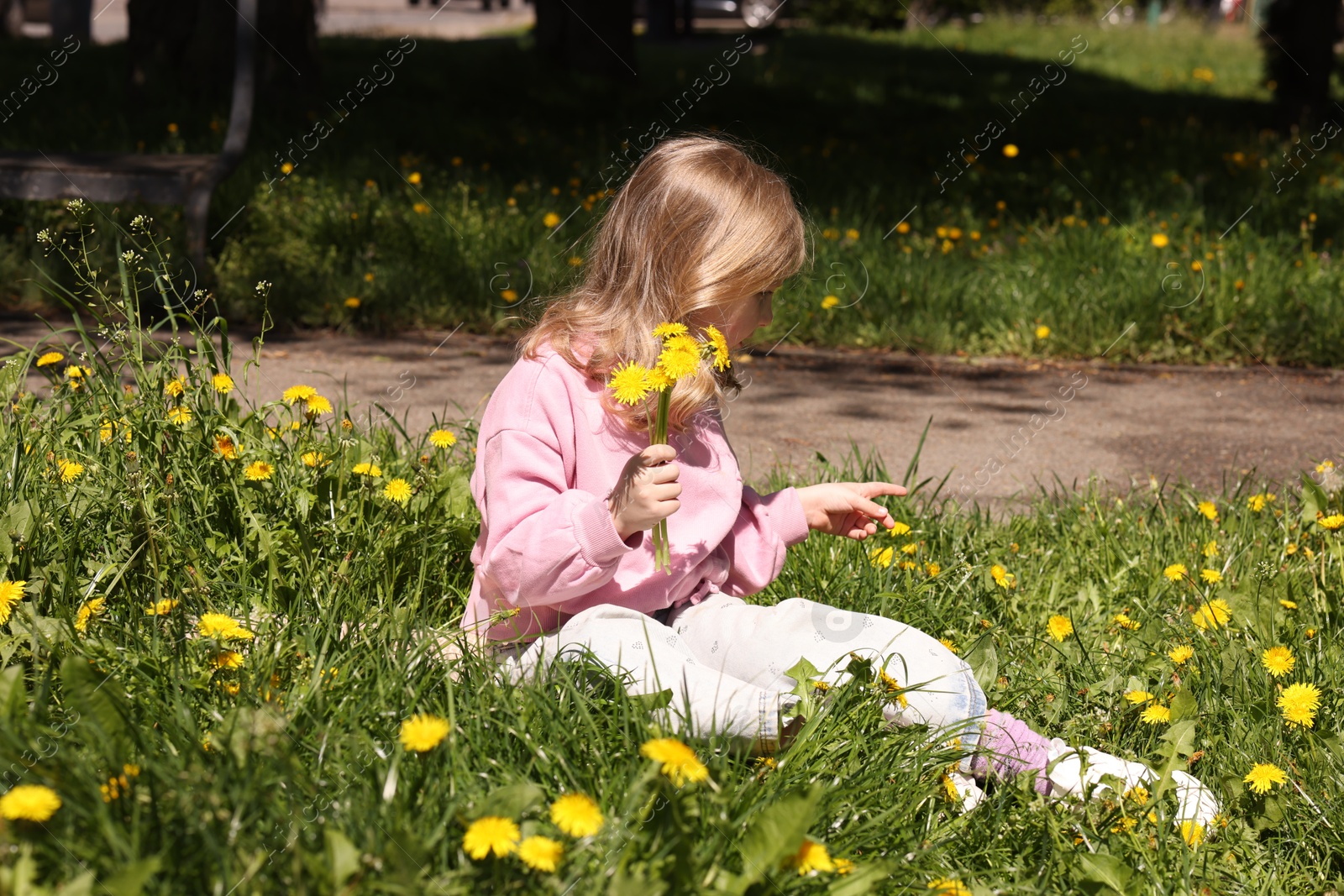 Cute little girl picking beautiful dandelions in park Photo of Cute little girl picking beautiful dandelions in park