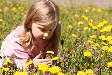 Photo of Cute little girl among beautiful dandelions outdoors on sunny day