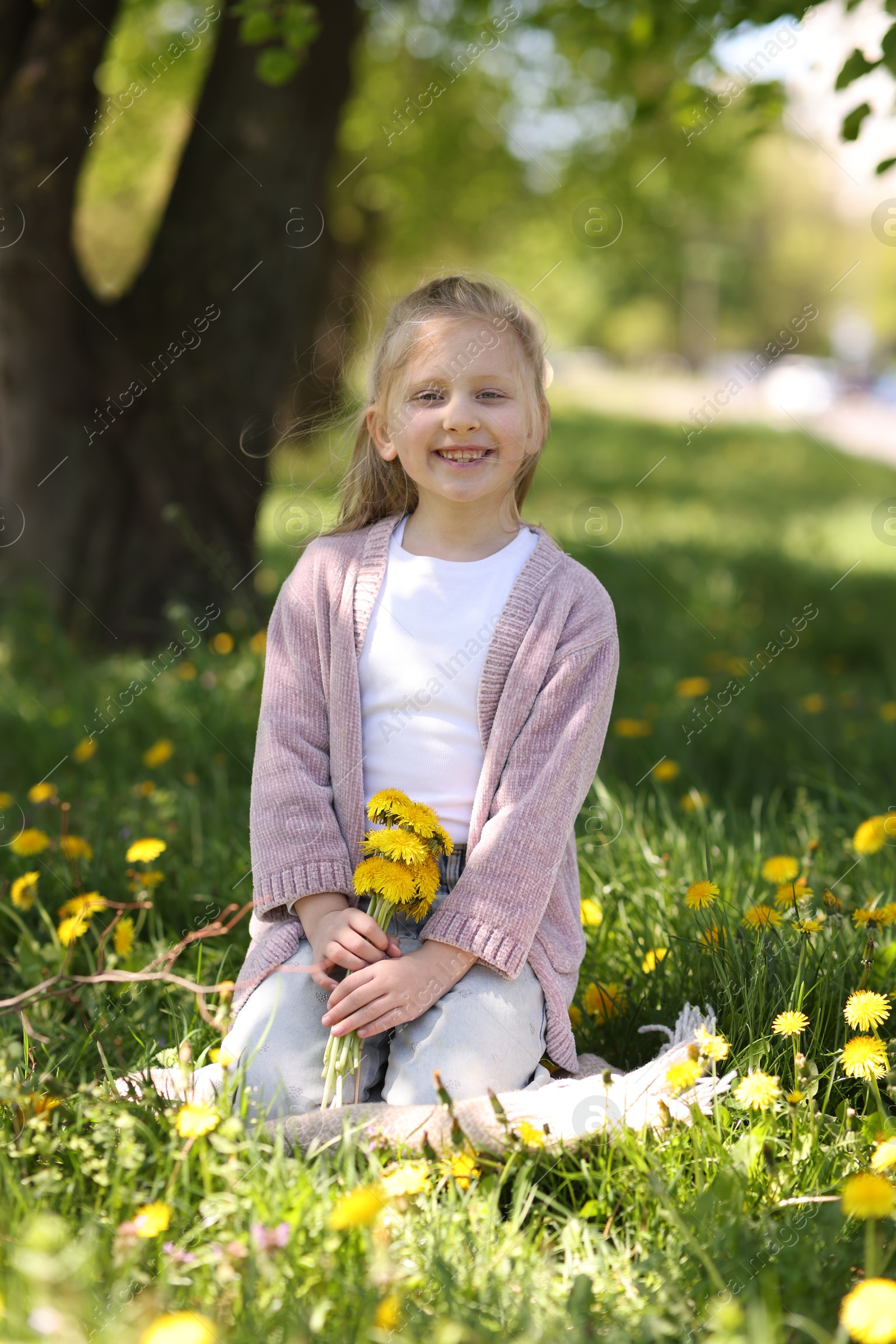 Cute little girl with beautiful dandelions outdoors on sunny day Photo of Cute little girl with beautiful dandelions outdoors on sunny day