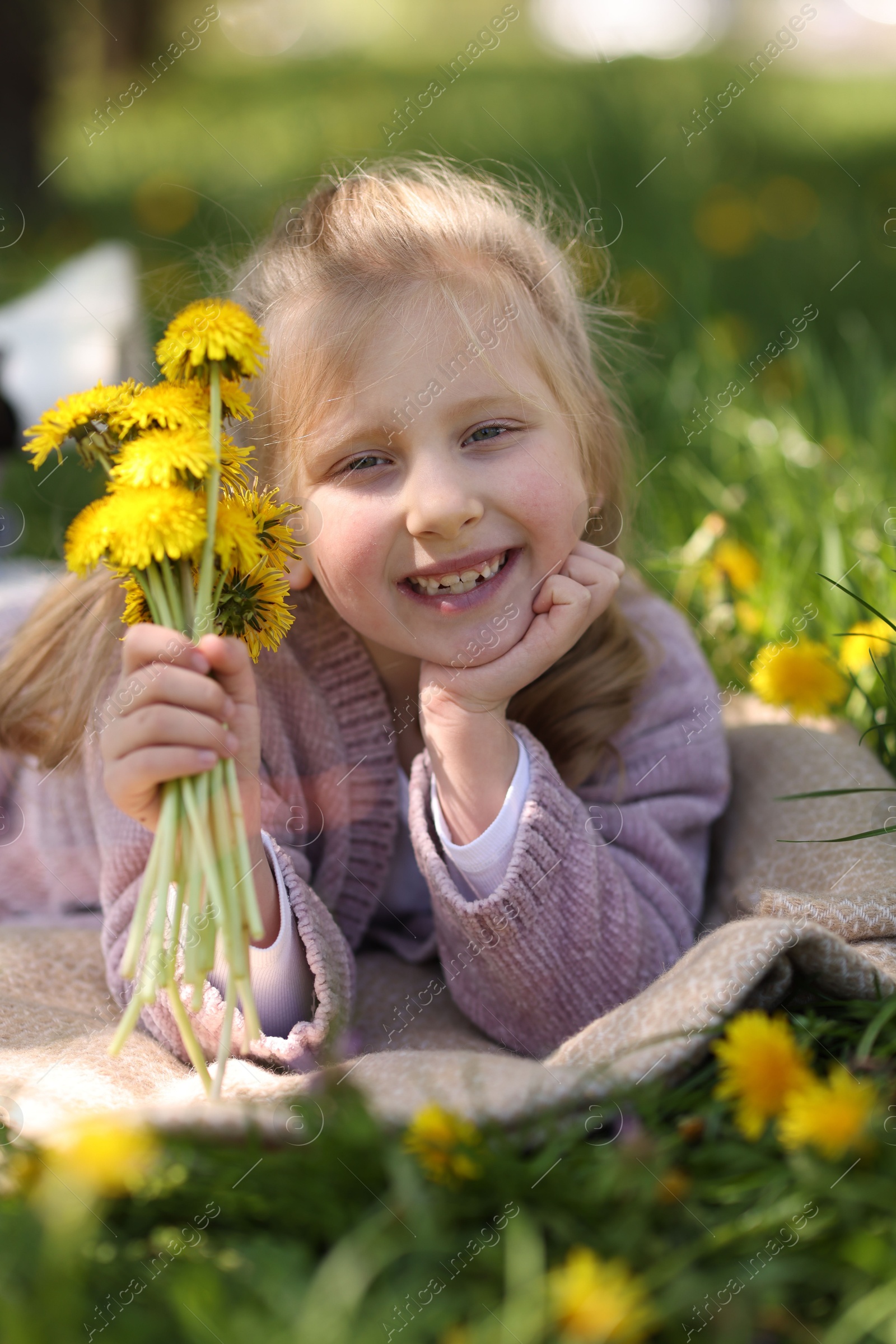 Cute little girl with beautiful dandelions on green grass outdoors Photo of Cute little girl with beautiful dandelions on green grass outdoors