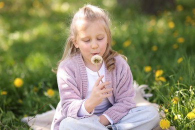 Photo of Cute little girl blowing beautiful dandelion on green grass outdoors