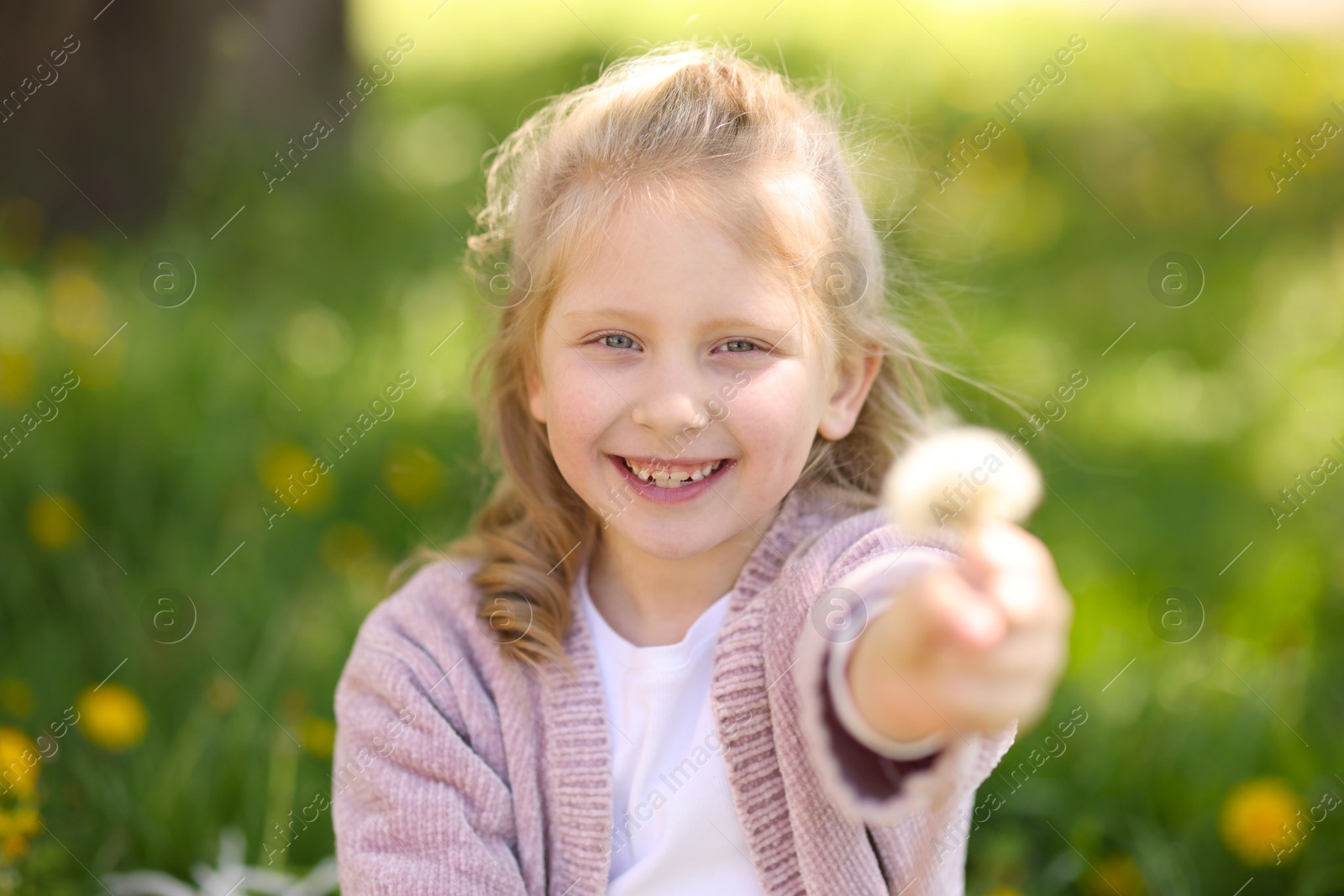 Cute little girl with beautiful dandelion outdoors Photo of Cute little girl with beautiful dandelion outdoors