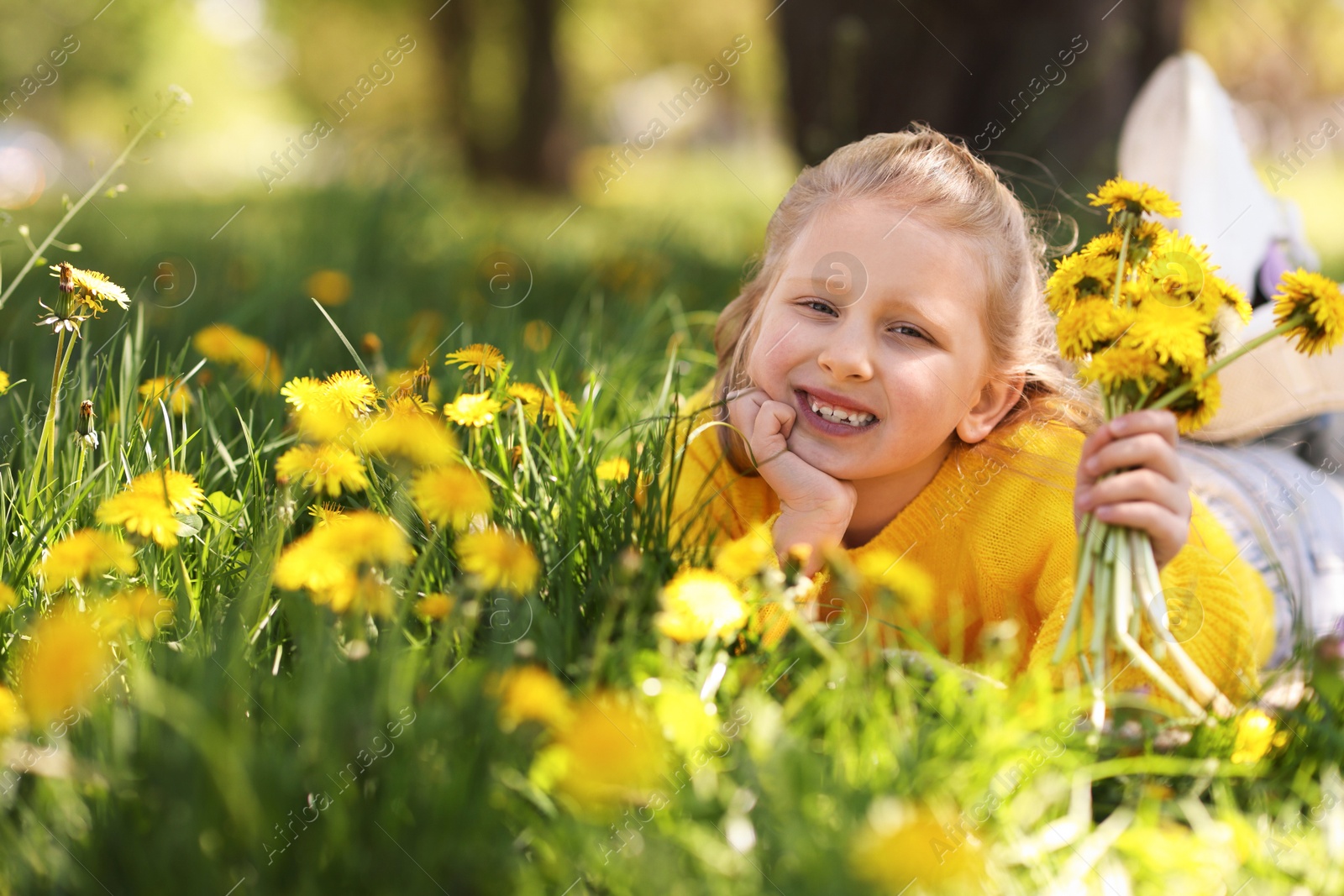 Cute little girl with beautiful dandelions on green grass outdoors Photo of Cute little girl with beautiful dandelions on green grass outdoors