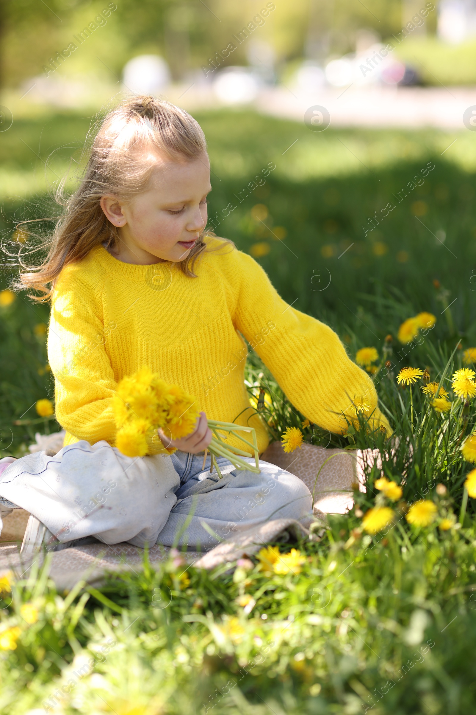 Cute little girl with beautiful dandelions on green grass outdoors Photo of Cute little girl with beautiful dandelions on green grass outdoors