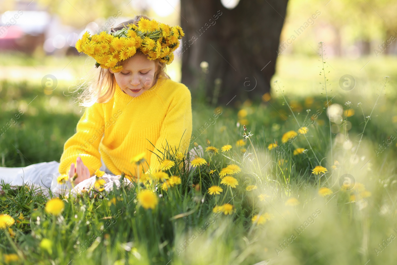 Cute little girl wearing wreath of dandelions on green grass in park Photo of Cute little girl wearing wreath of dandelions on green grass in park