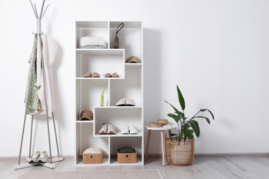 Photo of Shelving unit with different footwear, accessories, clothes and houseplant indoors. Shoe storage