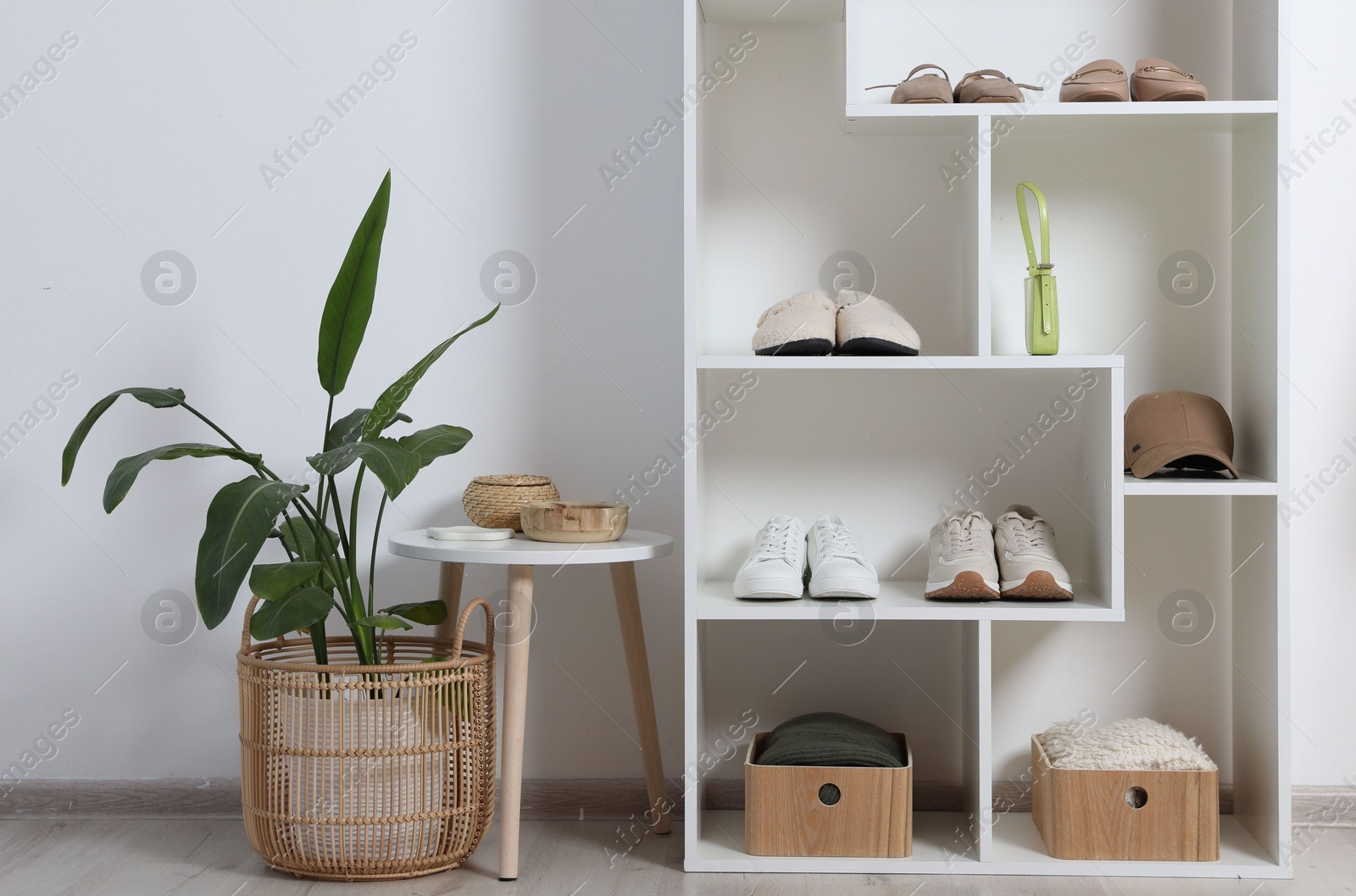 Shelving unit with different footwear, accessories and houseplant indoors. Shoe storage Photo of Shelving unit with different footwear, accessories and houseplant indoors. Shoe storage