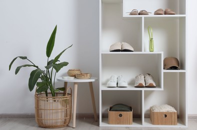 Photo of Shelving unit with different footwear, accessories and houseplant indoors. Shoe storage