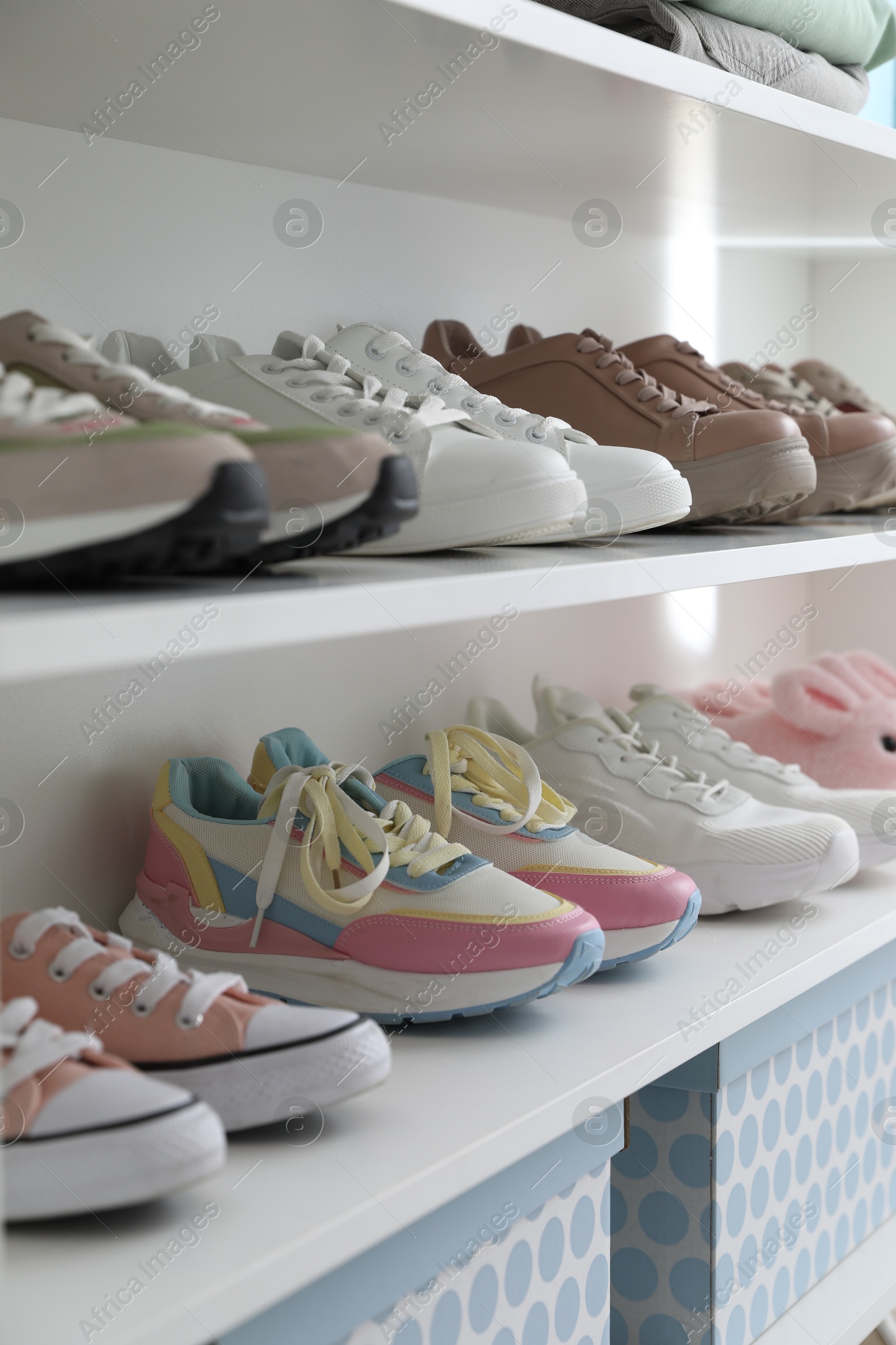 Different footwear on shelves indoors, closeup. Shoe storage Photo of Different footwear on shelves indoors, closeup. Shoe storage