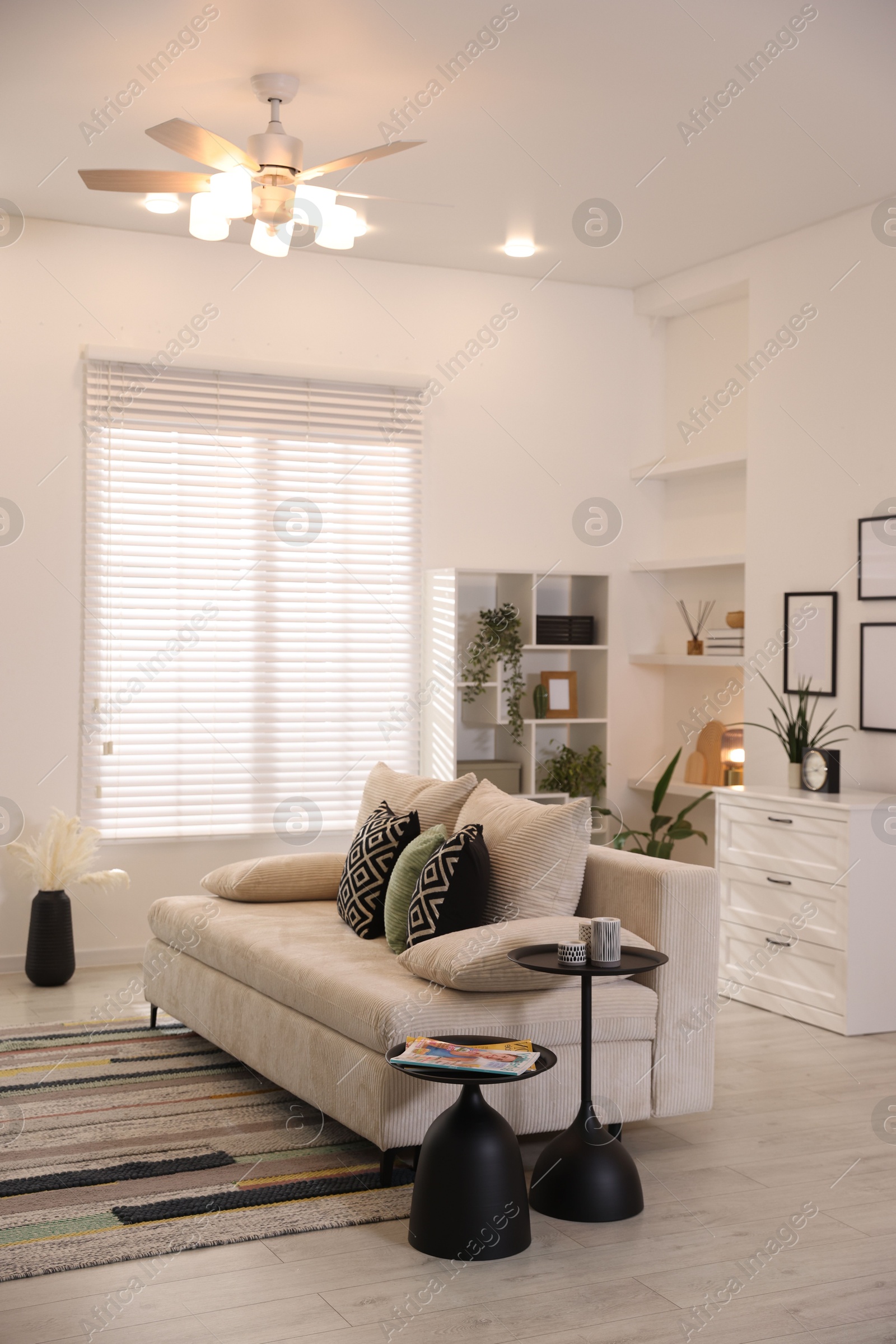 Comfortable sofa with cushions in room. Interior design Photo of Comfortable sofa with cushions in room. Interior design