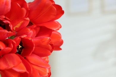 Photo of Beautiful red tulips on blurred background, closeup. Space for text