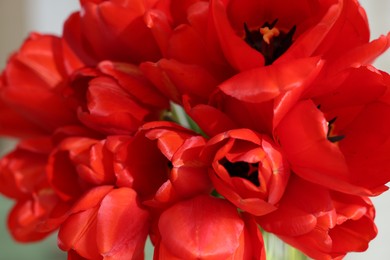 Photo of Beautiful red tulips on blurred background, closeup