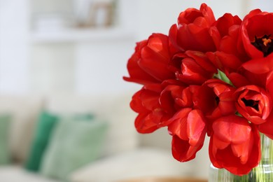 Photo of Beautiful red tulips on blurred background, closeup. Space for text