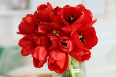 Photo of Beautiful red tulips in vase on blurred background, closeup