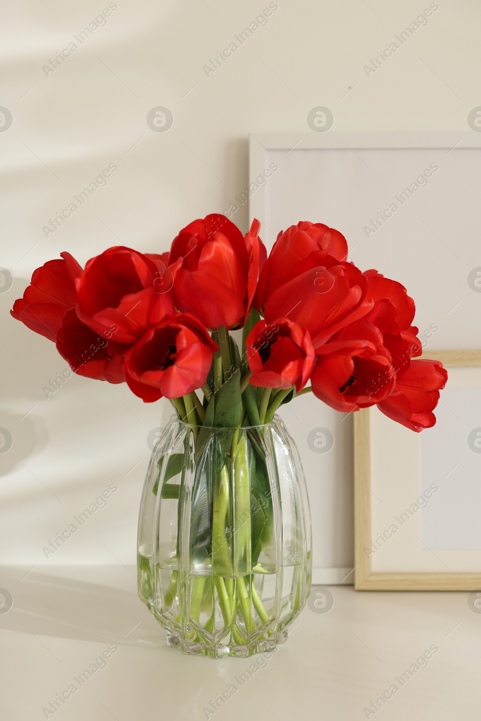 Photo of Beautiful red tulips in vase and frames on white table indoors