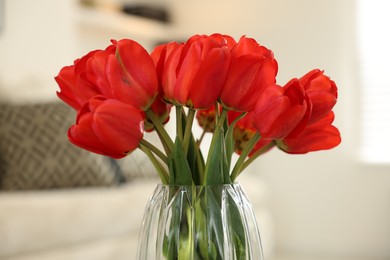 Photo of Beautiful red tulips in vase indoors, closeup