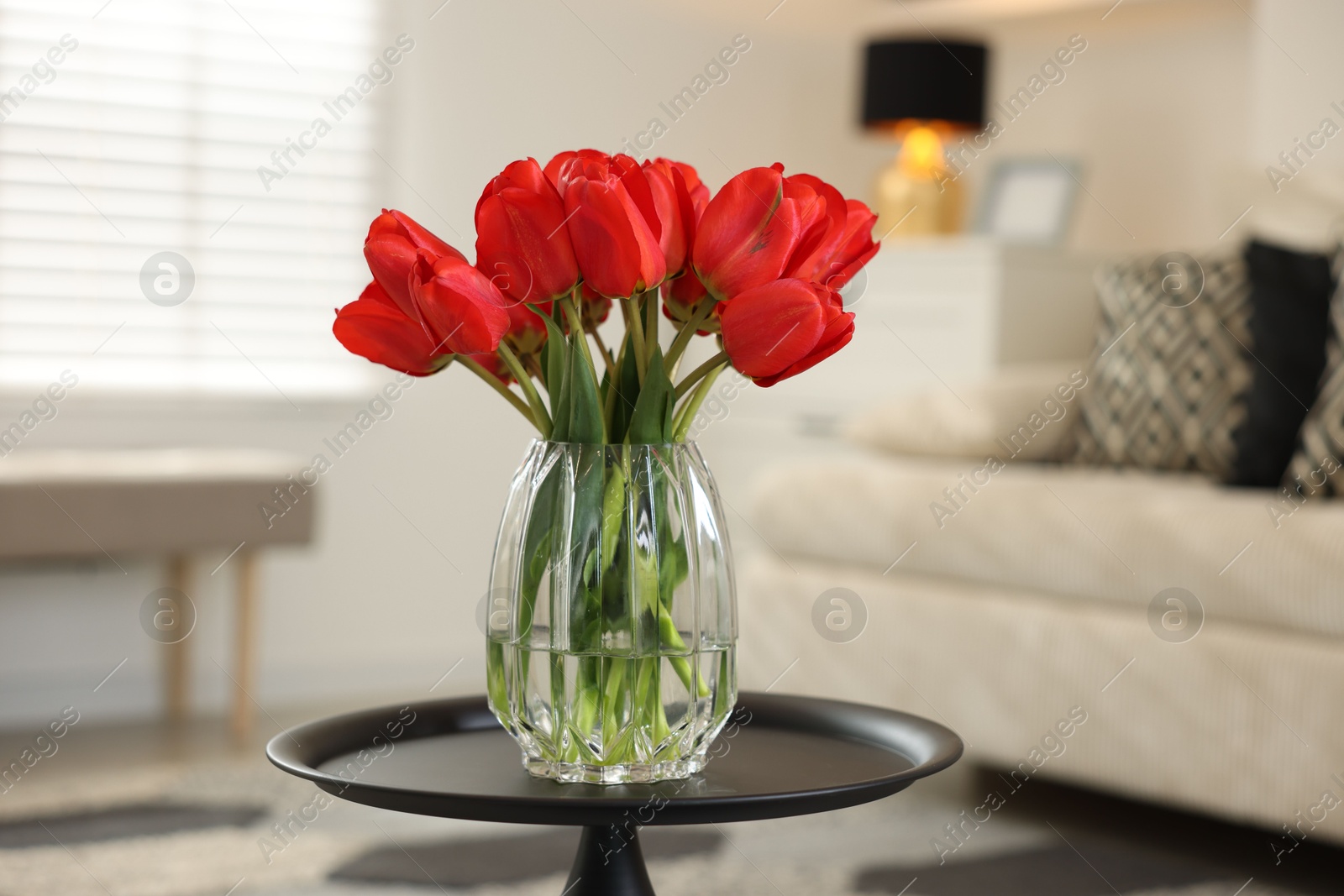 Photo of Beautiful red tulips in vase on table indoors