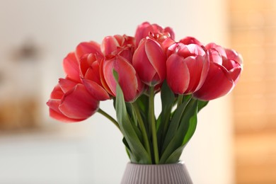 Photo of Beautiful tulips in vase on blurred background, closeup