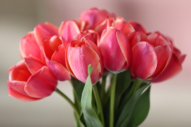 Photo of Bouquet of beautiful tulips on blurred background, closeup