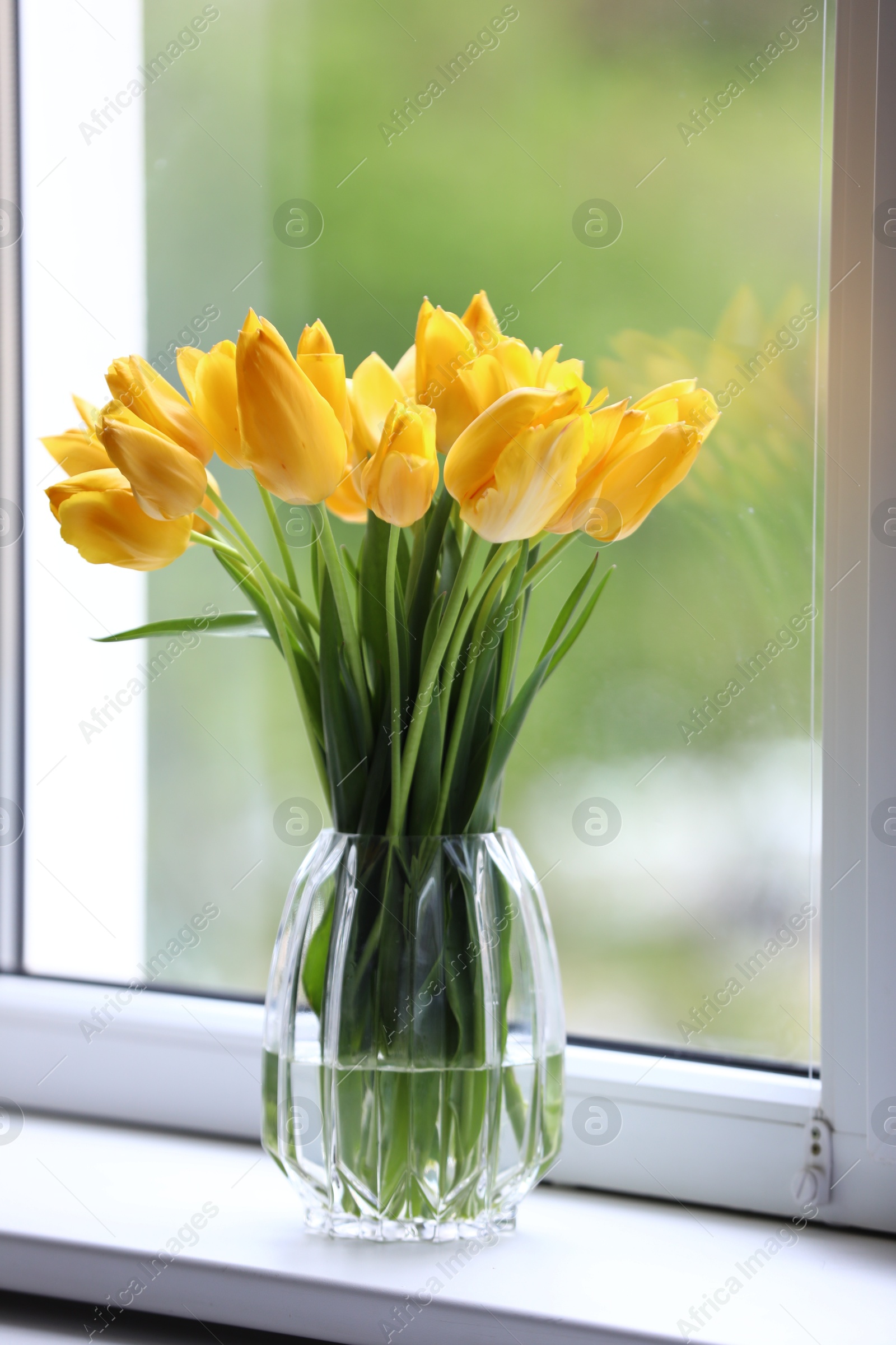 Photo of Beautiful tulips in vase on window sill