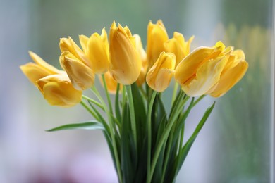 Photo of Bouquet of beautiful tulips on blurred background, closeup