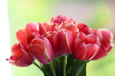 Photo of Bouquet of beautiful tulips on blurred background, closeup