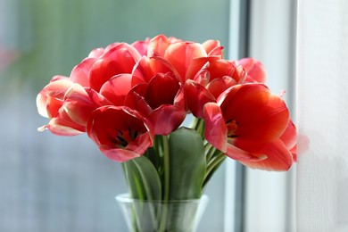 Photo of Beautiful tulips in vase near window indoors, closeup