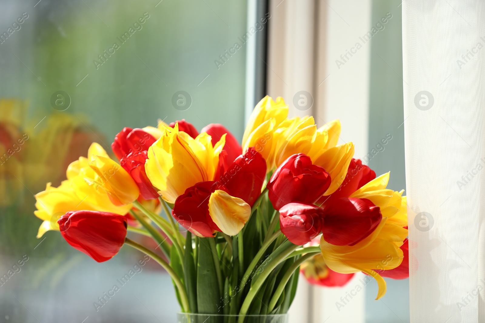 Photo of Beautiful colorful tulips near window indoors, closeup
