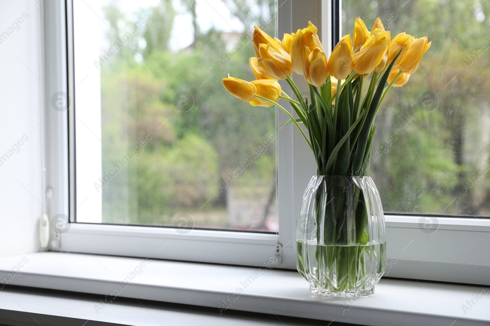 Photo of Beautiful tulips in vase on window sill. Space for text