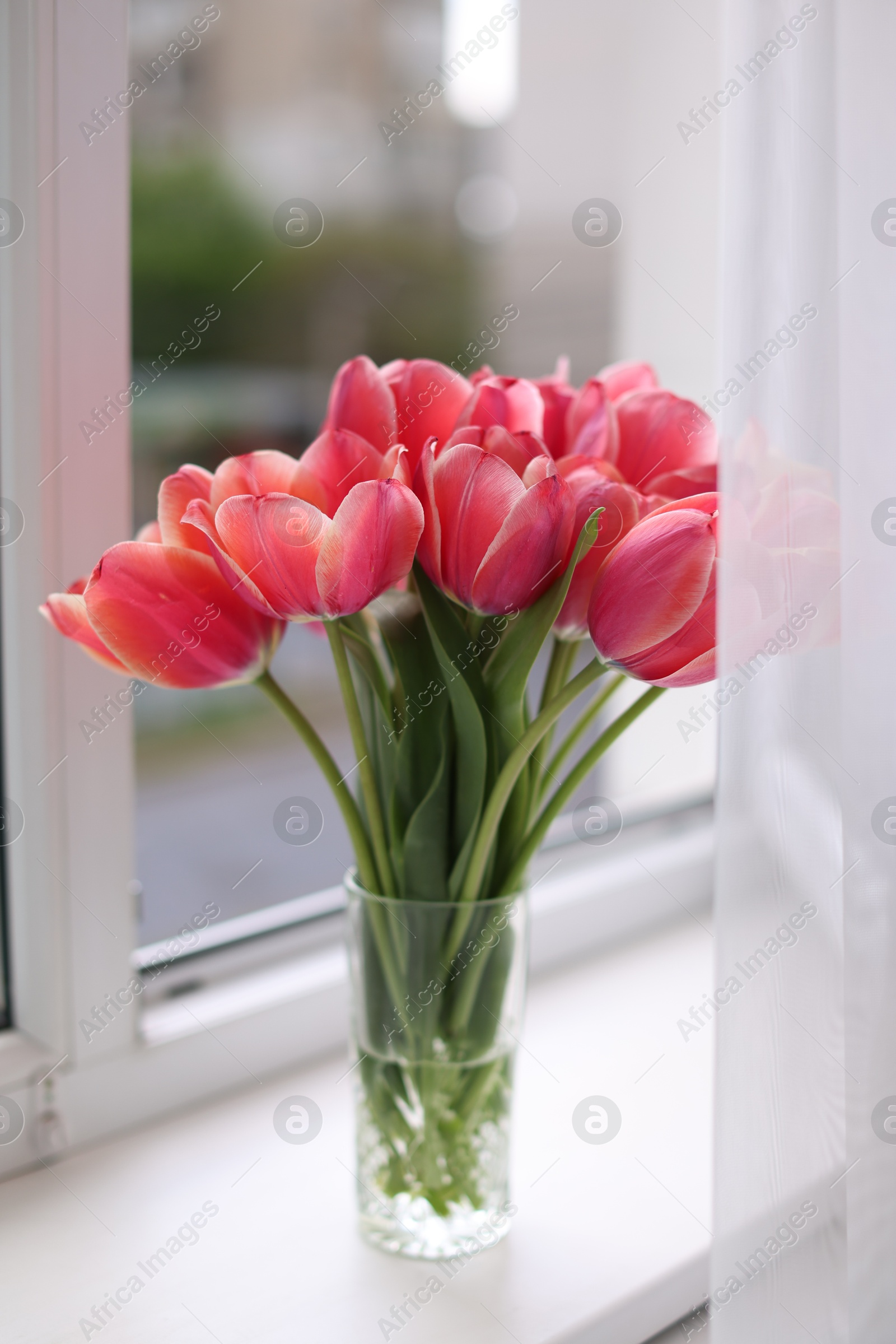 Photo of Bouquet of beautiful tulips on window sill