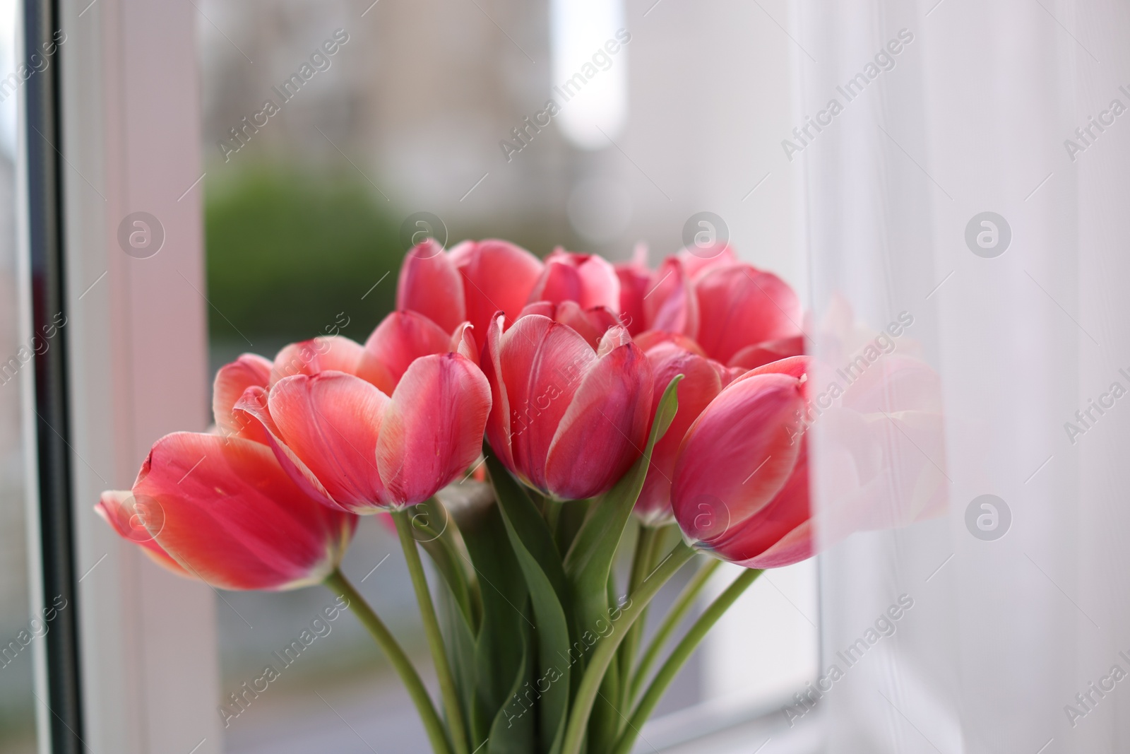 Photo of Bouquet of beautiful tulips near window indoors, closeup