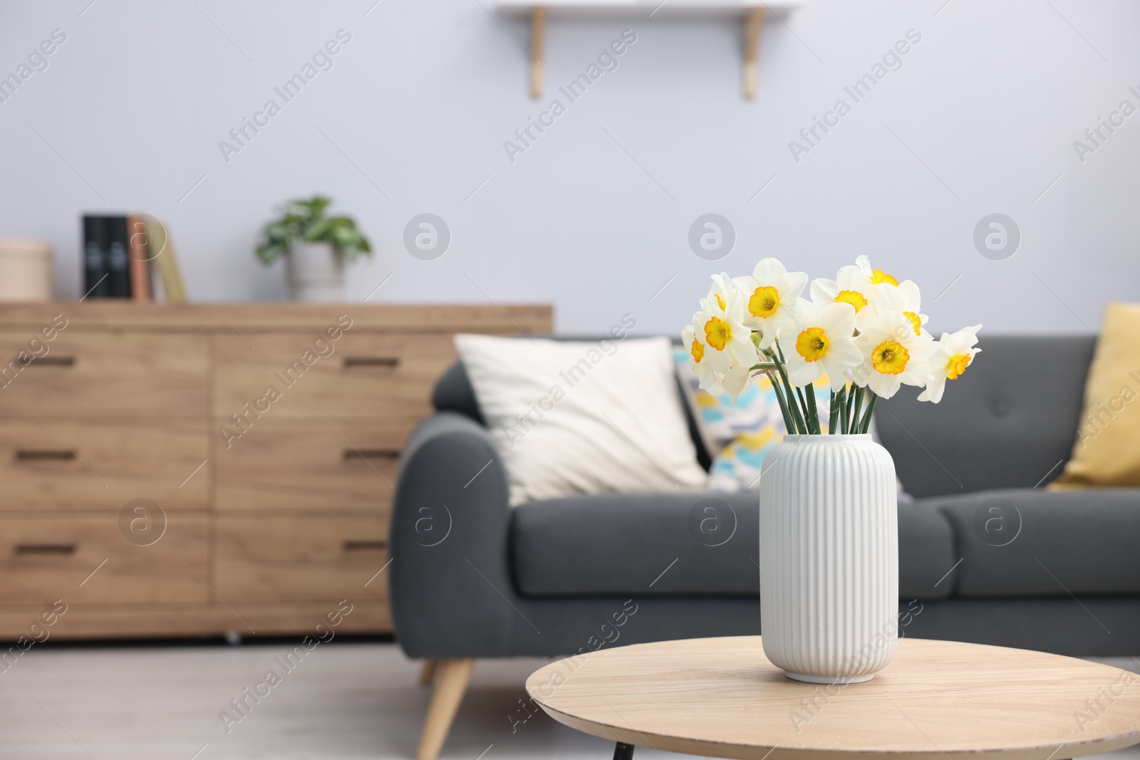 Beautiful daffodils in vase on wooden table indoors, space for text Photo of Beautiful daffodils in vase on wooden table indoors, space for text
