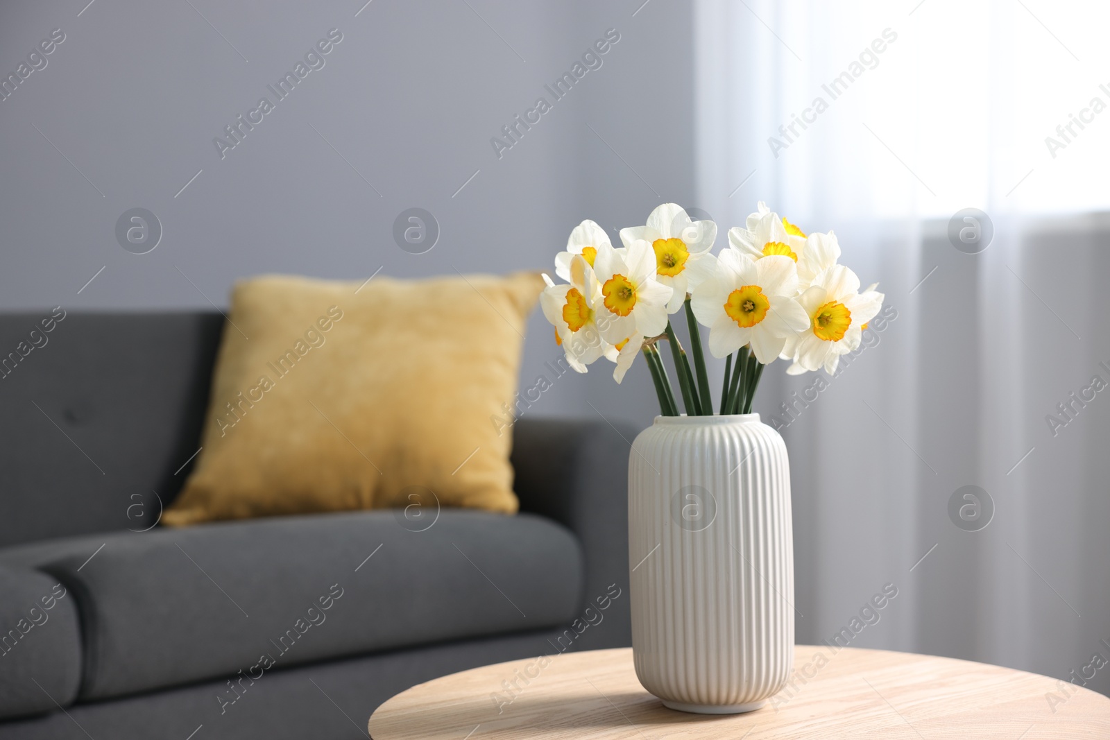 Beautiful daffodils in vase on wooden table indoors, space for text Photo of Beautiful daffodils in vase on wooden table indoors, space for text