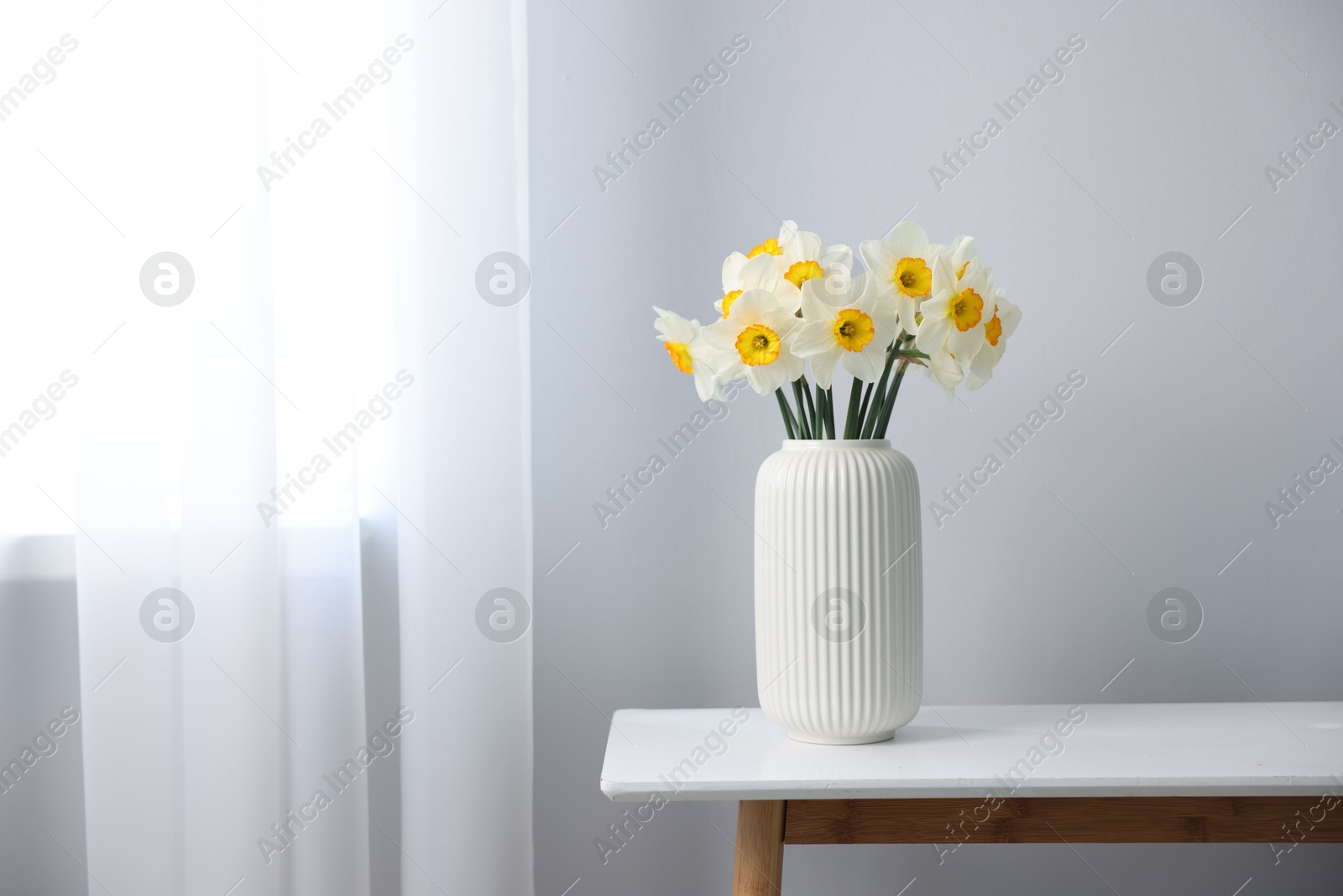 Beautiful daffodils in vase on white table indoors, space for text Photo of Beautiful daffodils in vase on white table indoors, space for text