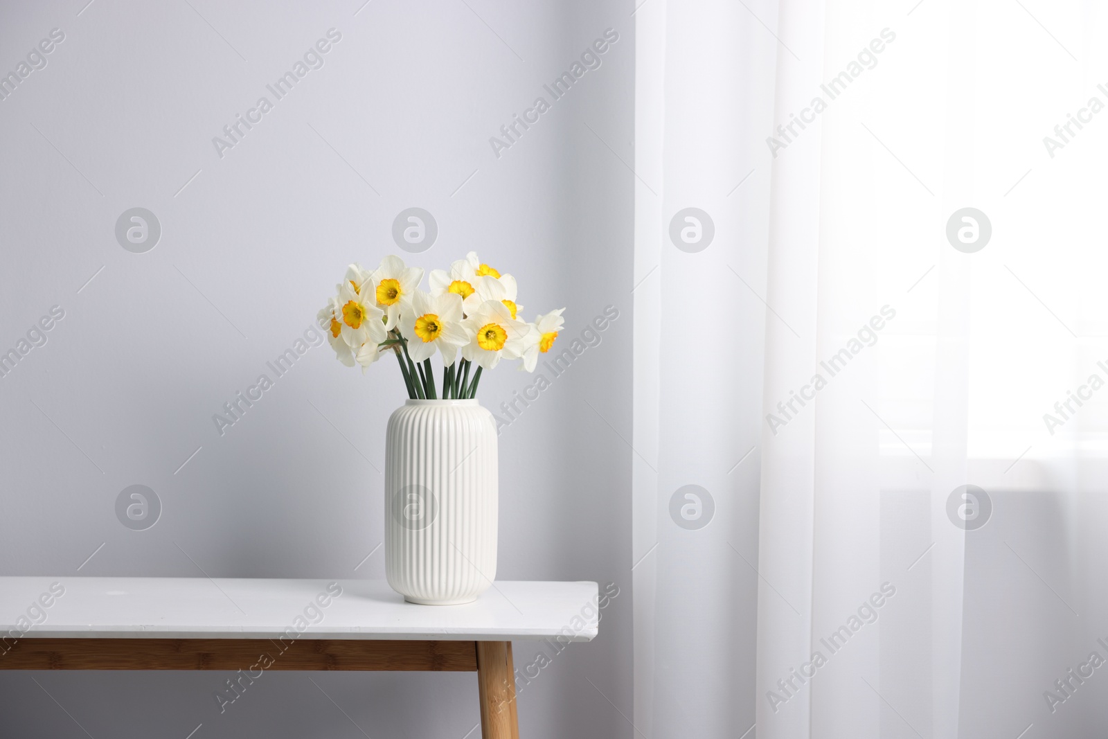 Beautiful daffodils in vase on white table indoors, space for text Photo of Beautiful daffodils in vase on white table indoors, space for text