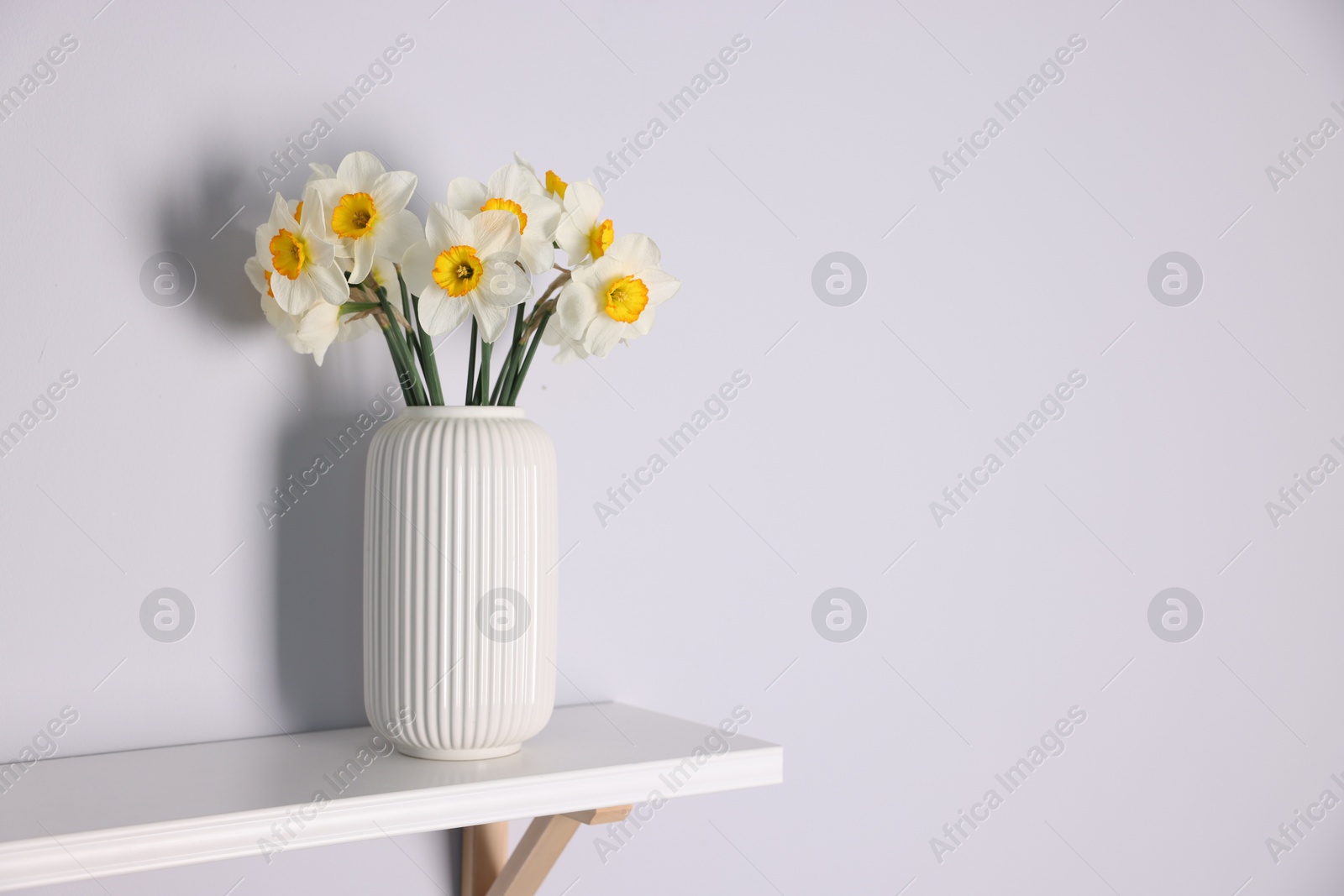 Beautiful daffodils in vase on white shelf indoors, space for text Photo of Beautiful daffodils in vase on white shelf indoors, space for text