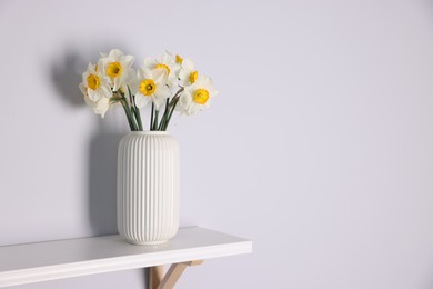 Photo of Beautiful daffodils in vase on white shelf indoors, space for text