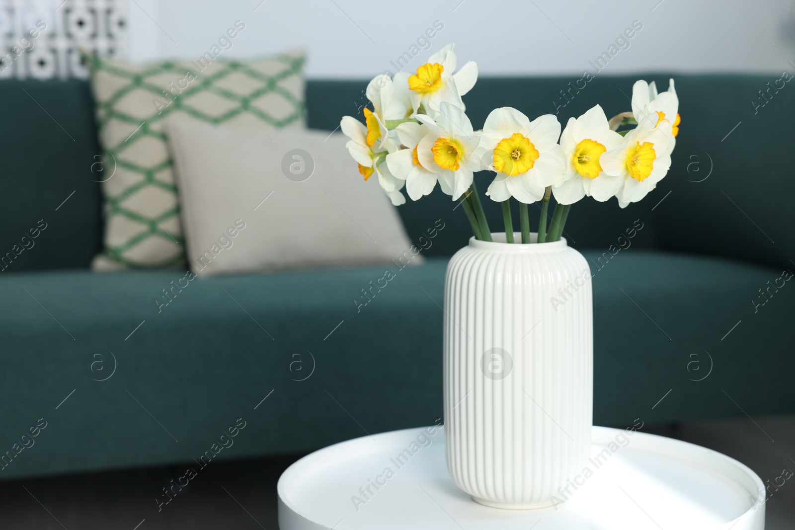Beautiful daffodils in vase on table indoors, space for text Photo of Beautiful daffodils in vase on table indoors, space for text