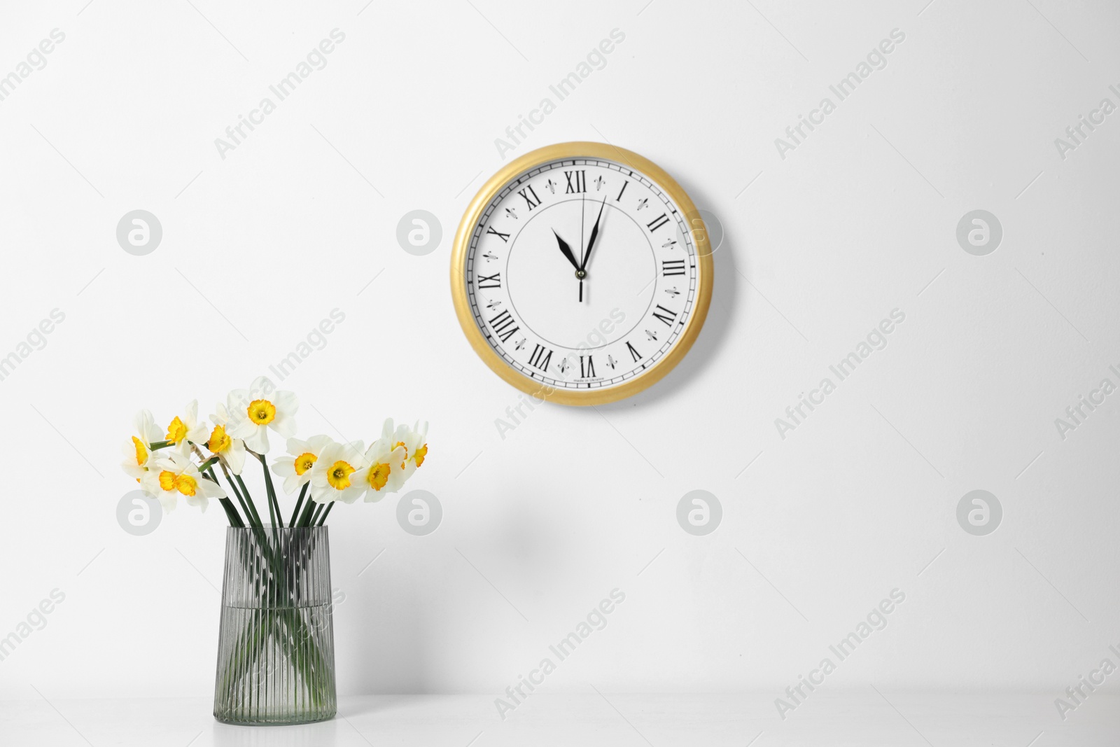 Beautiful daffodils in vase on white table and clock indoors Photo of Beautiful daffodils in vase on white table and clock indoors